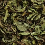 Price and purchase organic dried mint leaves with complete specifications