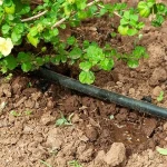 polyethylene drip irrigation pipe buying guide with special conditions and exceptional price