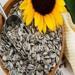 Price of BIGS sunflower seeds + Major production distribution of the factory