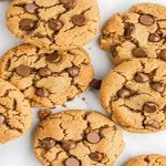 Price and purchase best cookie in amsterdam with complete specifications