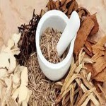 fresh licorice root buying guide with special conditions and exceptional price