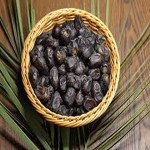 mazafati dates nz price list wholesale and economical