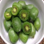 kiwi fruit green with complete explanations and familiarization