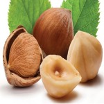 buy and current sale price of Hazelnut kernel 