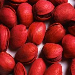 The Price of red pistachio + Purchase and Sale of  red pistachio Wholesale