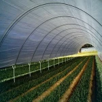 greenhouse plastic cover acquaintance from zero to one hundred bulk purchase prices