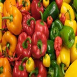 bell pepper fiber and nutritional information + price