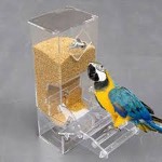 electricity bird cage buying guide with special conditions and exceptional price