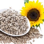 sunflower seed wholesale buy