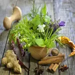herbal plants in the philippines specifications and how to buy in bulk
