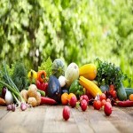 Learning to buy an summer crops in maharashtra from zero to one hundred