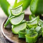 Price and purchase organic fresh aloe vera with complete specifications