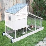 fully automatic chicken coop price list wholesale and economical