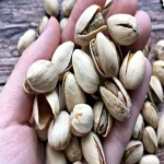 Price and purchase shelled pistachios gluten free with complete specifications