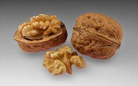 Buy the Best Types of Walnuts at a Great Price