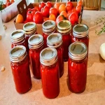 tomato paste edeka buying guide with special conditions and exceptional price