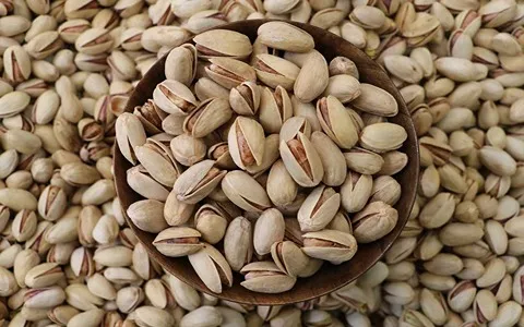 Ahmad Aghaei Pistachio with Complete Explanations and Familiarization