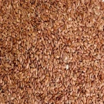 Sesame seed brown buying guide with special conditions and exceptional price
