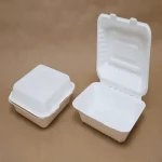 Disposable Plastic Containers Price