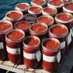 2200g canned tomato paste with complete explanations and familiarization