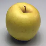 Red Apple Fruit Price