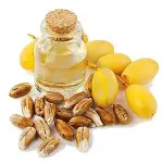 date seed extract buying guide with special conditions and exceptional price