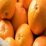 The best Navel Sour Orange + Great purchase price