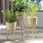 Wicker pot holder acquaintance from zero to one hundred bulk purchase prices