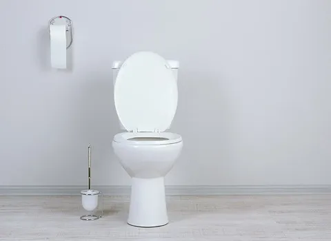 Best porcelain toilet for camper + great purchase price