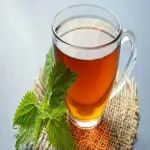 Fresh mint tea leaves price list wholesale and economical