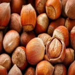 Learning to buy an fresh hazelnuts in shell from zero to one hundred
