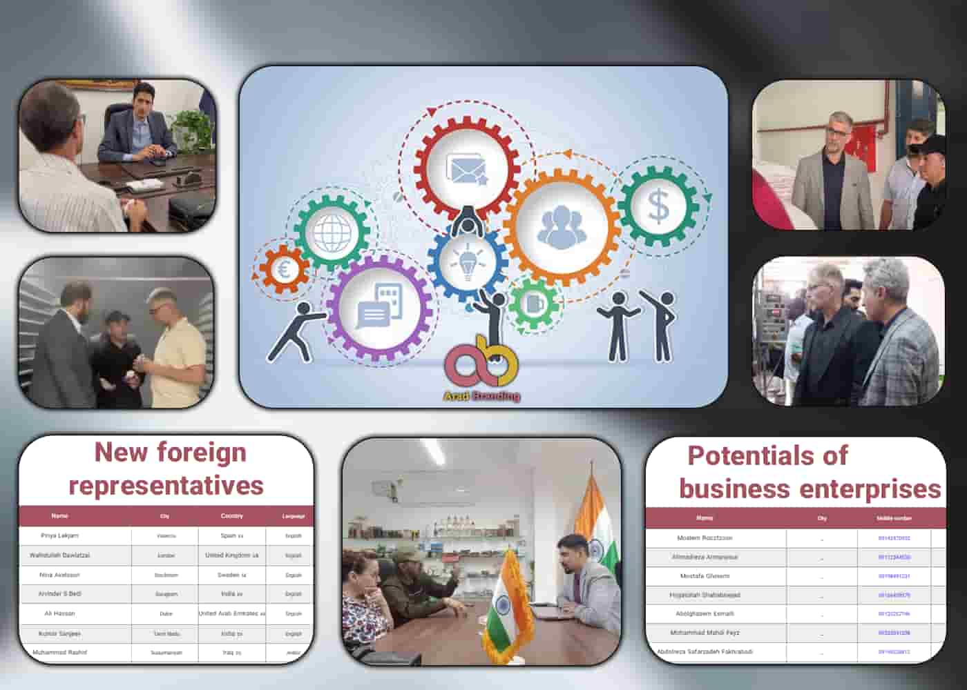 Business Insights, Video Documentation, Domestic and International Potentials