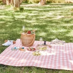 picnic blanket uk buying guide with special conditions and exceptional price