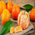 orange yellow fruit small specifications and how to buy in bulk