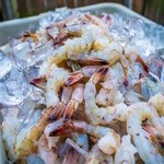 top rated shrimp acquaintance from zero to one hundred bulk purchase prices