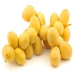 Barhi dates 1kg bags wholesale price