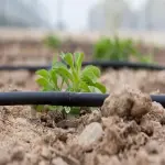 Price and purchase drip pipe irrigation with complete specifications