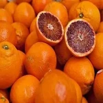 fresh orange in spanish price list wholesale and economical