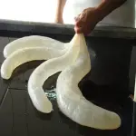 Small intestine meat price list wholesale and economical