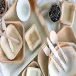 Disposable Plates in Kenya; Biodegradable 4 Renewable Materials Paper Plastic Cellulose Starch