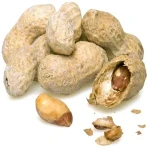Salted peanuts with shell buying guide with special conditions and exceptional price