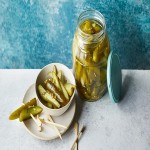 pickled cucumber quick acquaintance from zero to one hundred bulk purchase prices