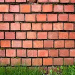 Learning to buy a red brick raw material from zero to one hundred