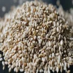best sesame seed in pakistan with complete explanations and familiarization