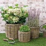 wicker pots for plants buying guide with special conditions and exceptional price