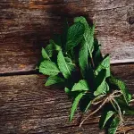 mint green in japanese with complete explanations and familiarization