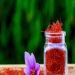 The Price of Bulk Purchase of Saffron Indian is Cheap and Reasonable