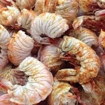 learning-to-buy-an-best-shrimp-quality-from-zero-to-one-hundred