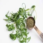 dry mint powder in urdu with complete explanations and familiarization