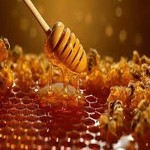Price and purchase honey pure in india with complete specifications